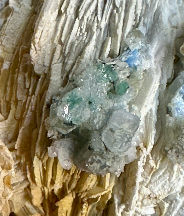 Capture d’écran 2025-07-06 à 23.53.23.png