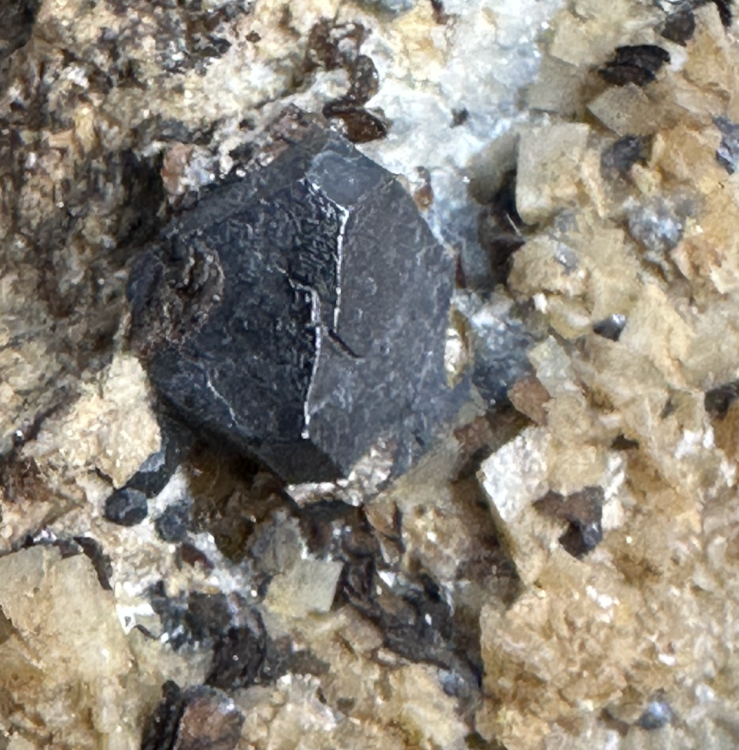 Capture d’écran 2025-07-09 à 01.24.23.png