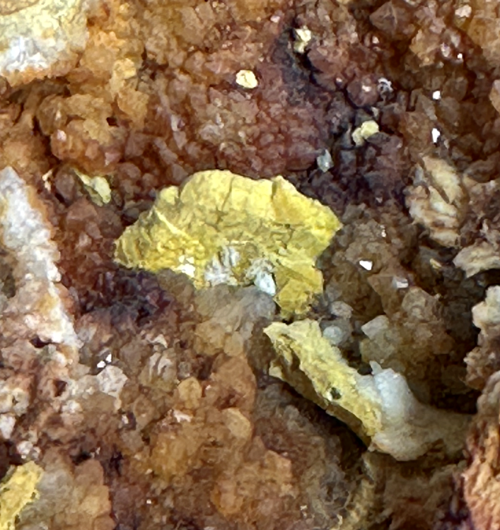 Capture d’écran 2025-07-11 à 23.59.17.png