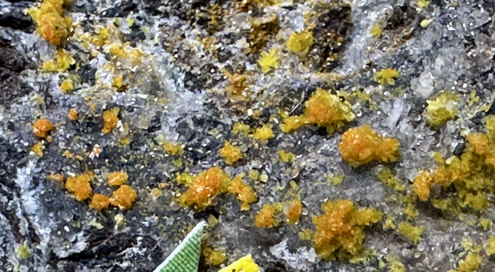 Capture d’écran 2025-07-14 à 00.06.03.png