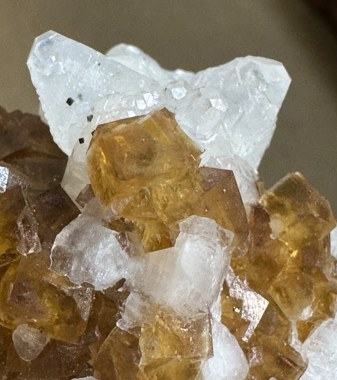 Capture d’écran 2025-07-14 à 00.34.13.png