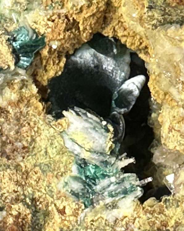 Capture d’écran 2025-07-14 à 00.58.23.png