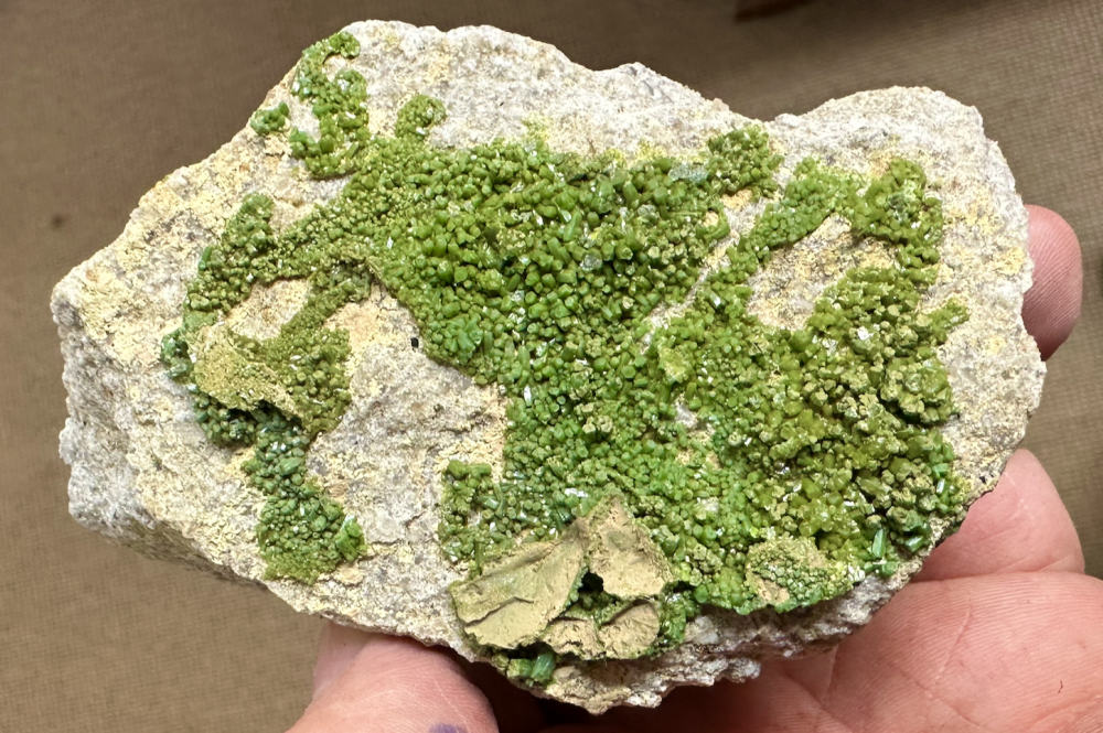 Capture d’écran 2025-07-15 à 01.21.40.png