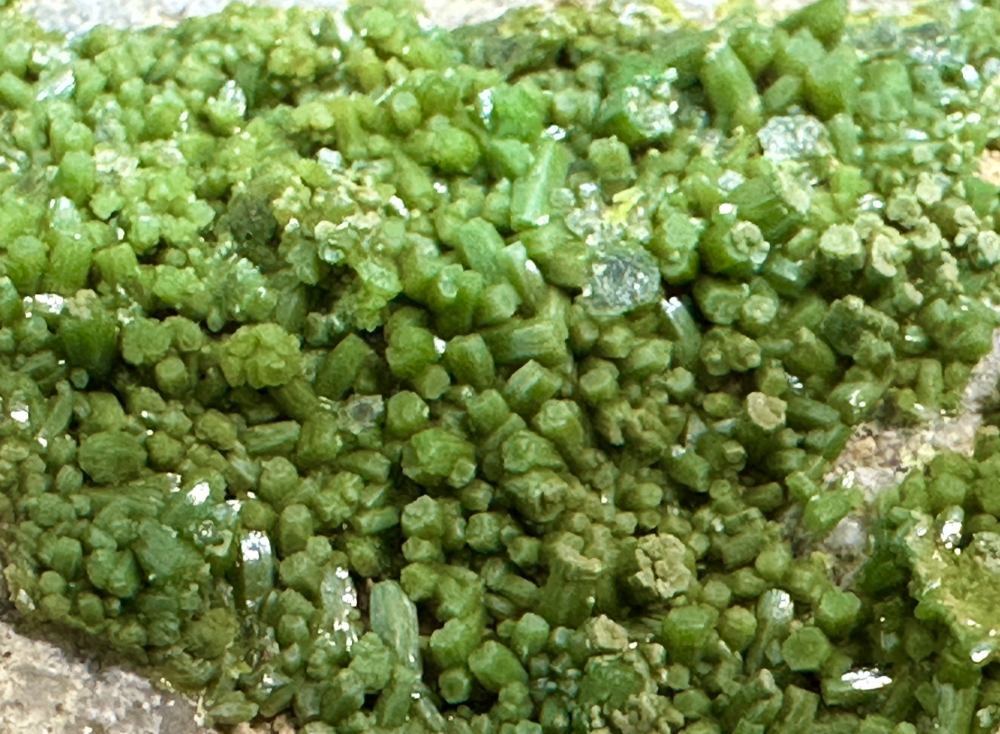 Capture d’écran 2025-07-15 à 01.21.56.png