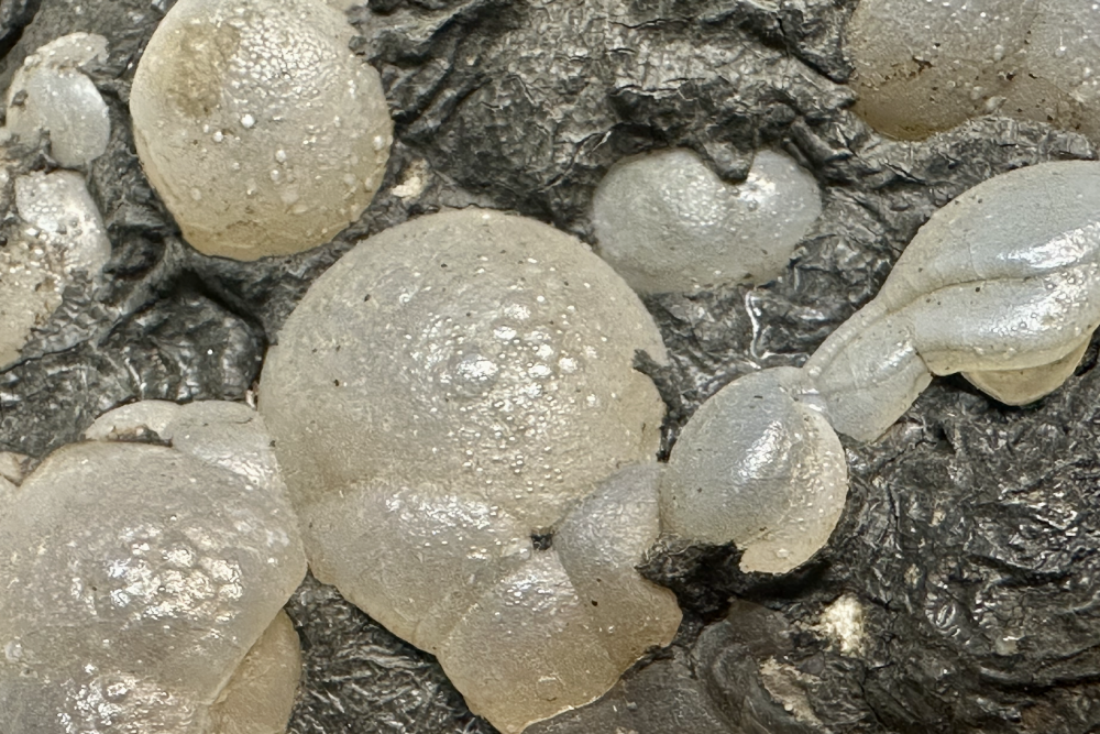 Capture d’écran 2025-07-16 à 19.42.08.png