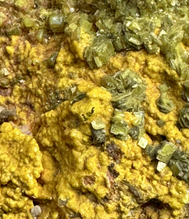 Capture d’écran 2025-07-16 à 19.51.51.png