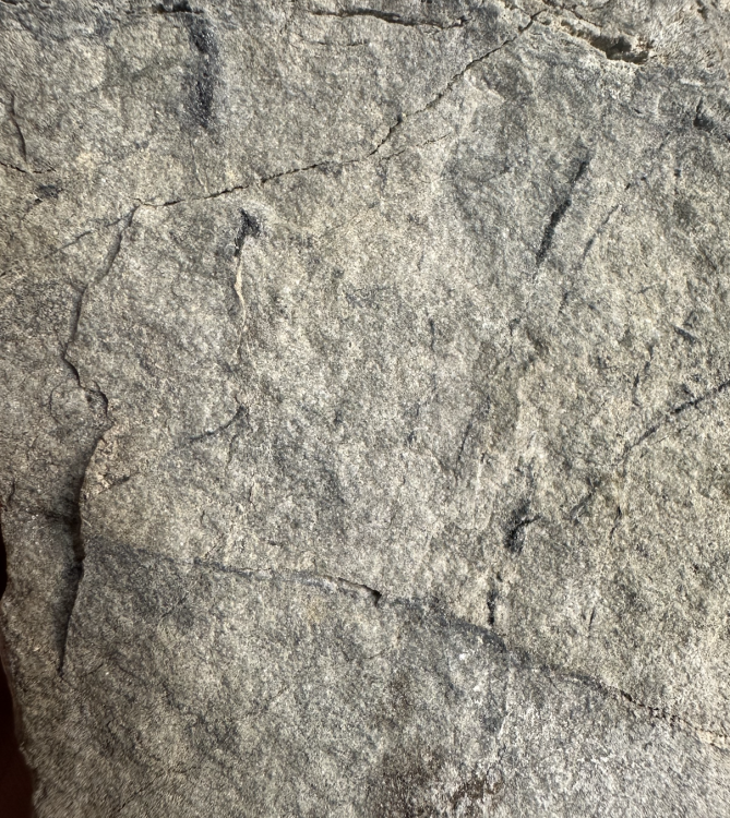 Capture d’écran 2025-07-20 à 23.44.25.png