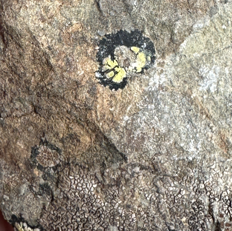 Capture d’écran 2025-07-20 à 23.45.00.png