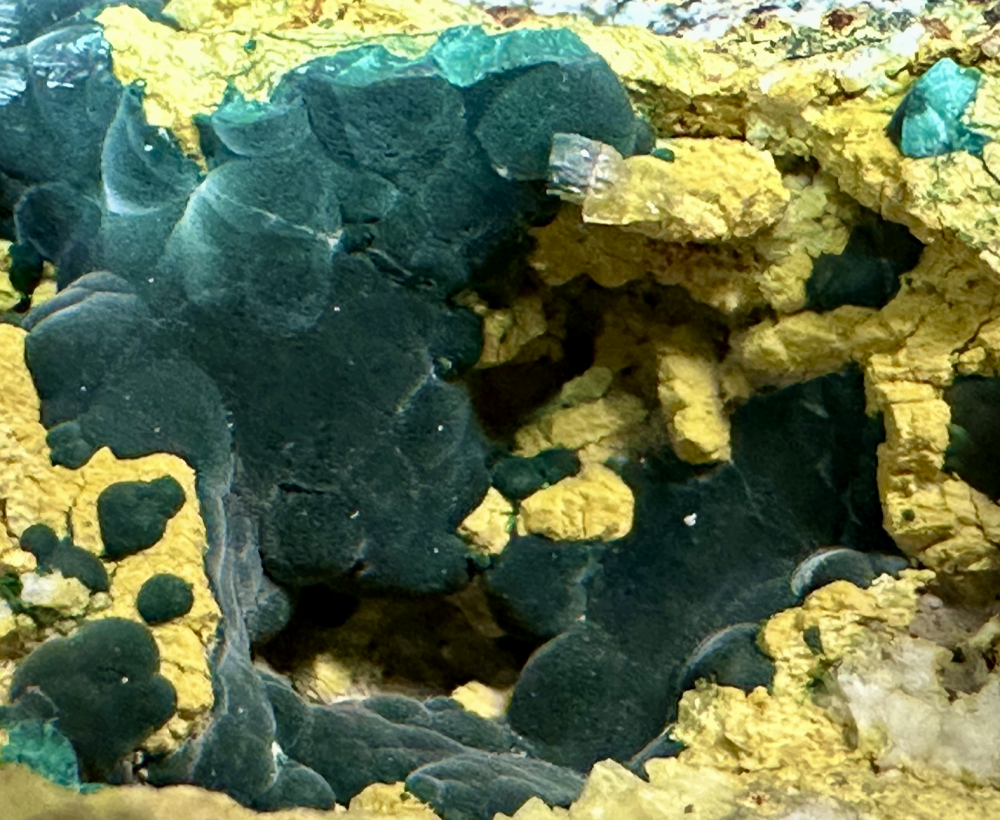 Capture d’écran 2025-07-20 à 23.45.56.png