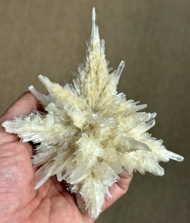 Capture d’écran 2025-07-23 à 00.37.32.png