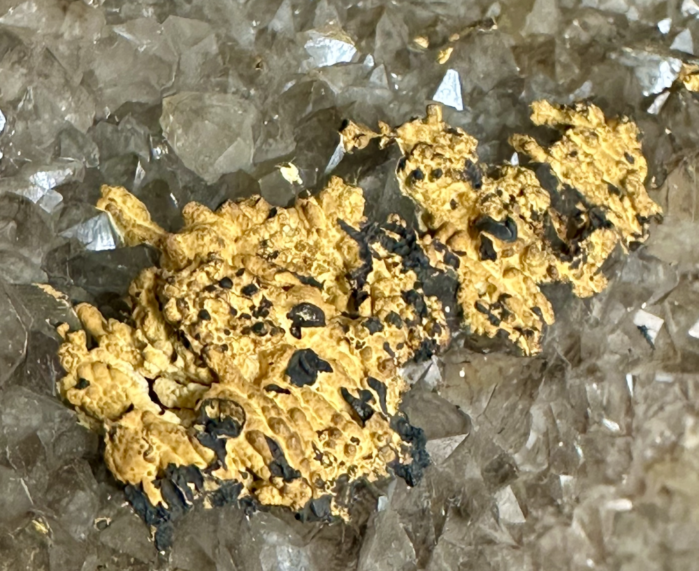 Capture d’écran 2025-07-23 à 00.42.30.png