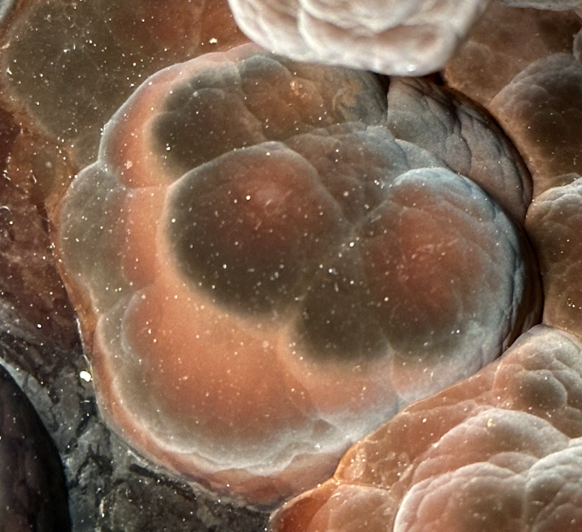 Capture d’écran 2025-07-23 à 00.45.33.png