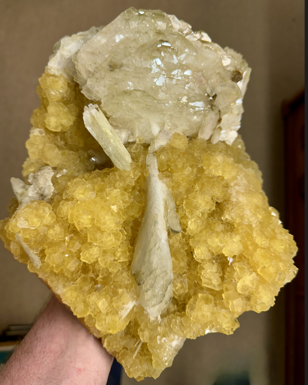 Capture d’écran 2025-07-23 à 00.46.54.png