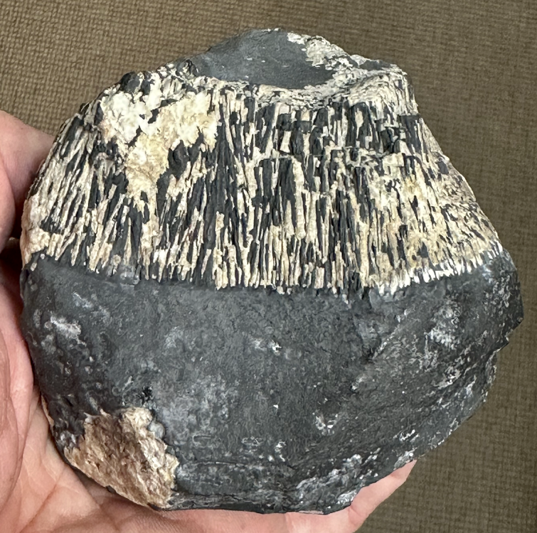 Capture d’écran 2025-07-24 à 23.36.05.png