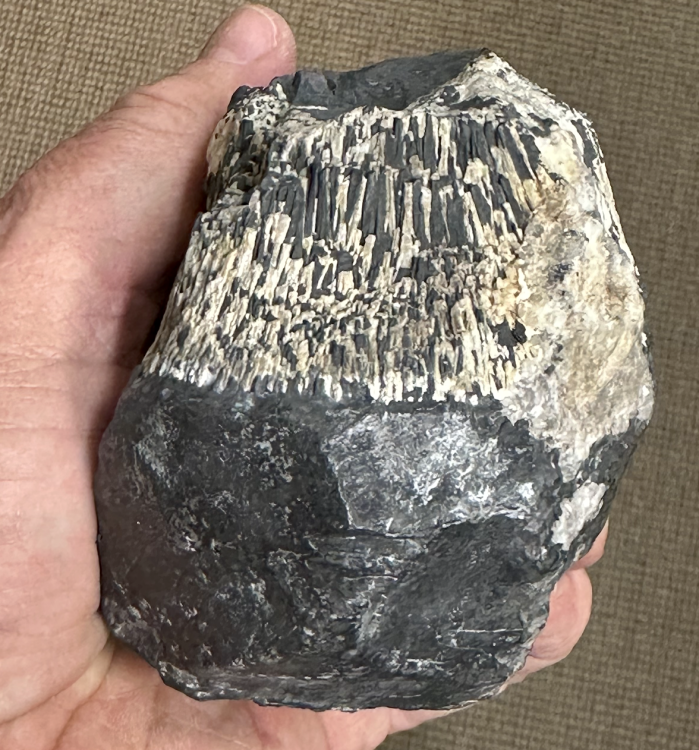 Capture d’écran 2025-07-24 à 23.36.13.png