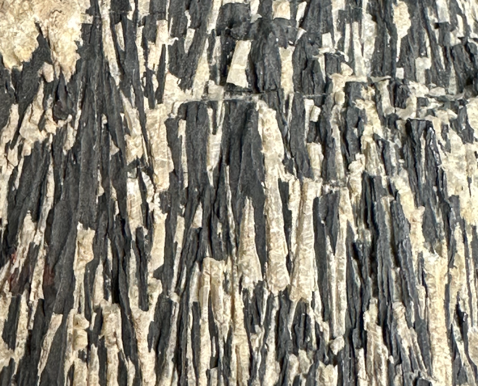 Capture d’écran 2025-07-24 à 23.36.25.png