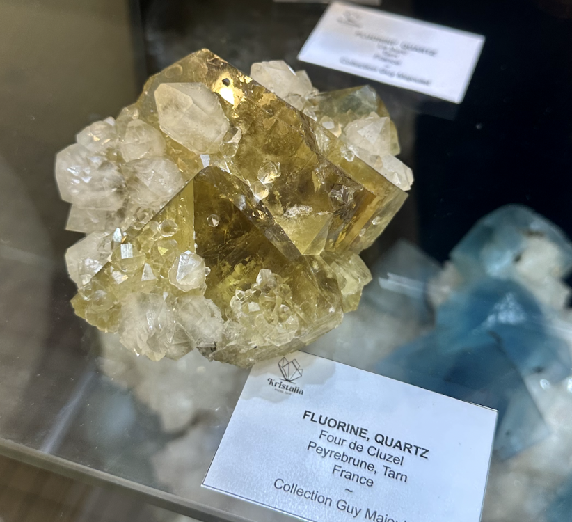 Capture d’écran 2025-07-25 à 22.15.54.png