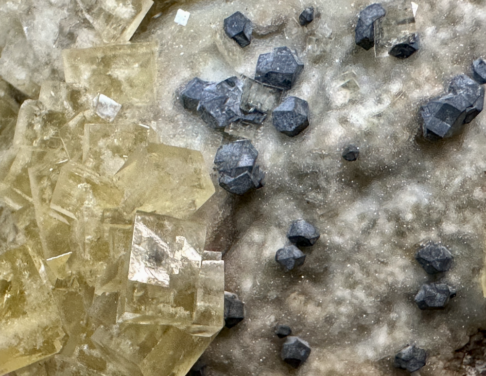 Capture d’écran 2025-07-25 à 22.52.10.png