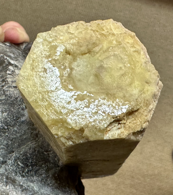 Capture d’écran 2025-07-25 à 22.53.07.png