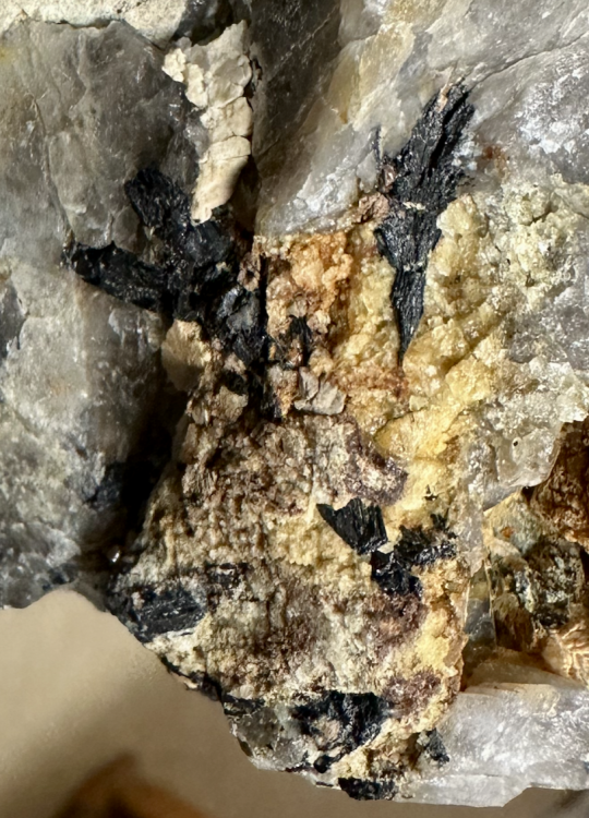 Capture d’écran 2025-07-25 à 22.53.23.png