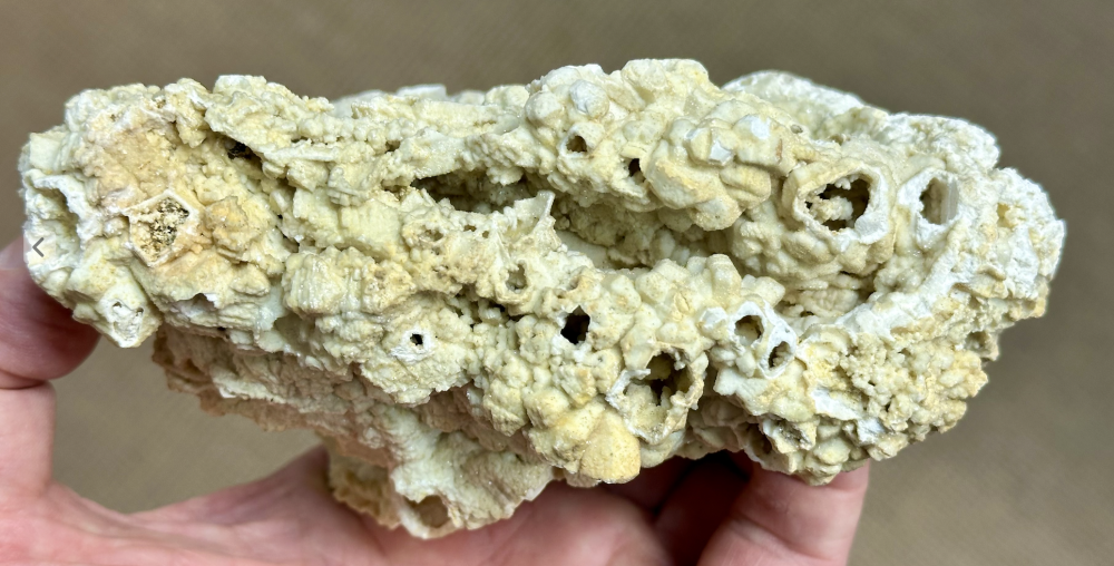 Capture d’écran 2025-07-26 à 00.04.03.png