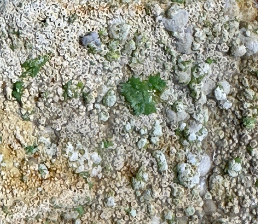 Capture d’écran 2025-07-26 à 00.08.45.png