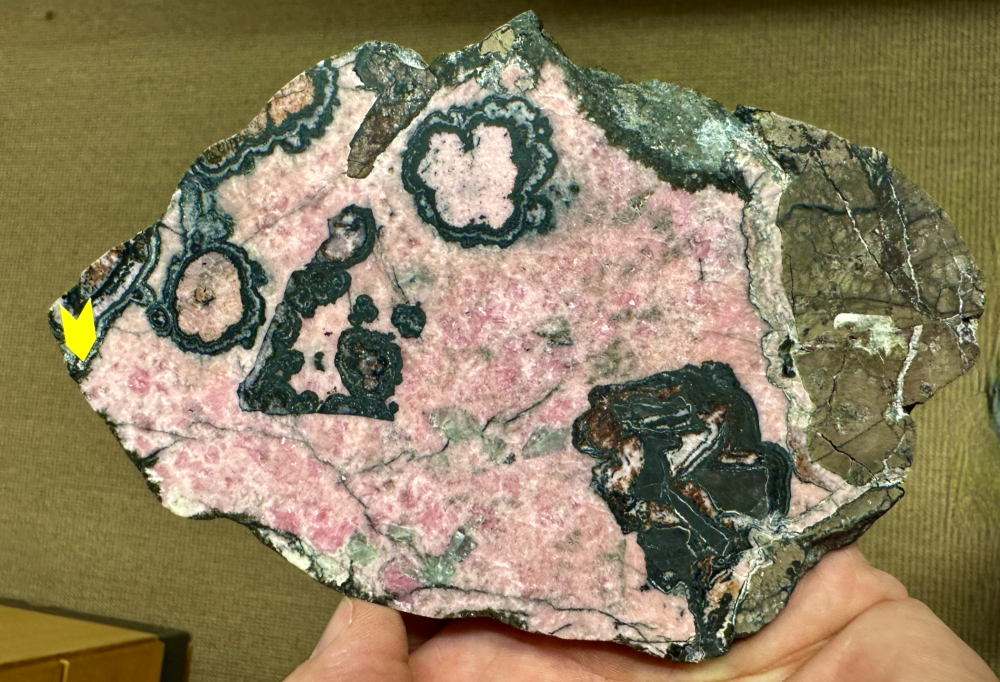 Capture d’écran 2025-07-26 à 16.34.11.png