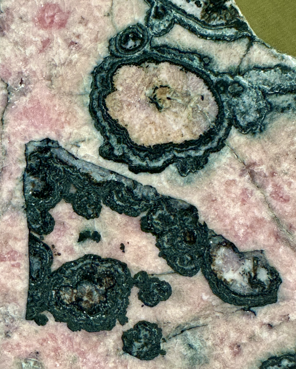 Capture d’écran 2025-07-26 à 16.34.47.png