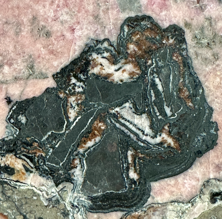 Capture d’écran 2025-07-26 à 16.35.06.png