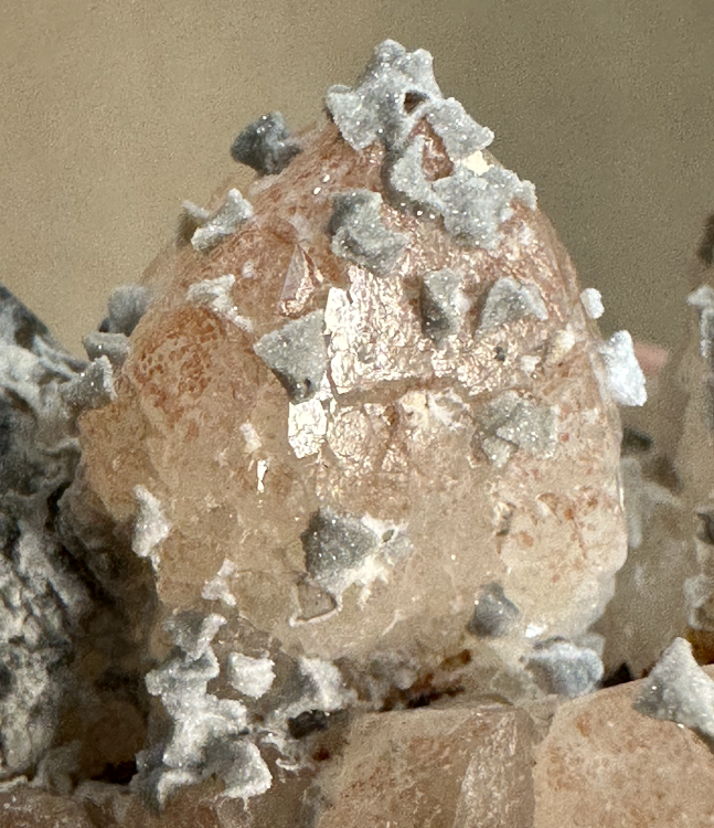 Capture d’écran 2025-07-26 à 16.41.34.png