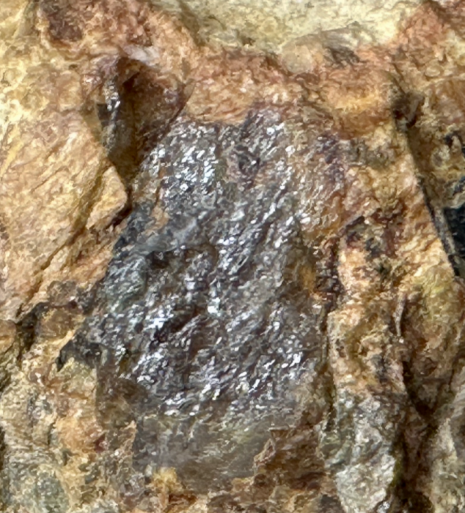 Capture d’écran 2025-07-27 à 23.48.33.png