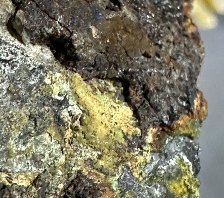 Capture d’écran 2025-07-28 à 12.19.30.png