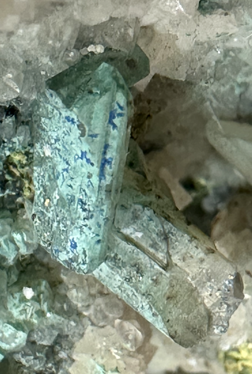 Capture d’écran 2025-07-30 à 00.16.37.png