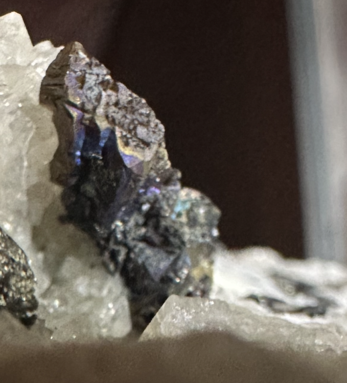 Capture d’écran 2025-07-31 à 21.18.22.png