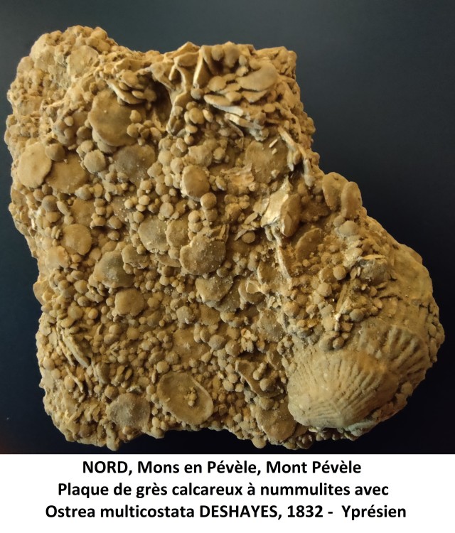 Mons en Pévèle 1.jpg