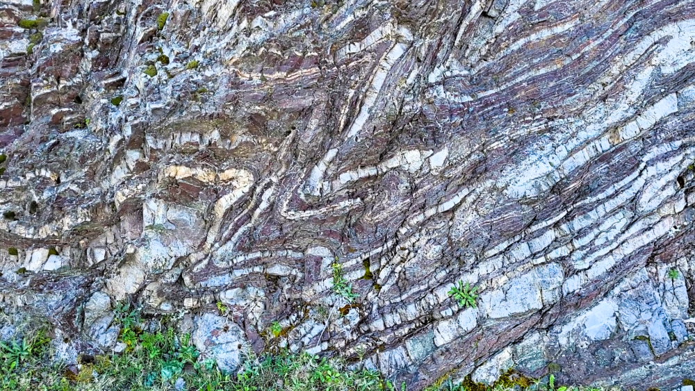 Radiolarites (2).png