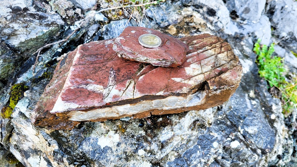 Radiolarites (5).jpg