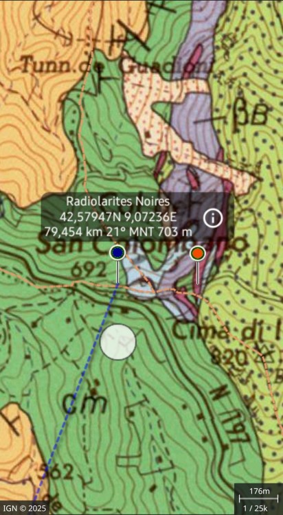 Radiolarites noires (1).jpg