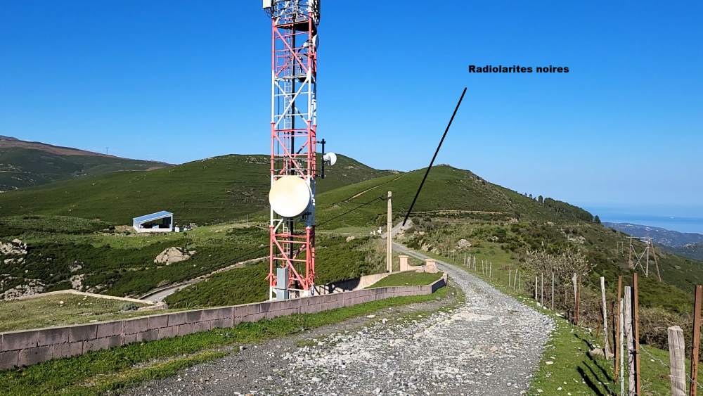 Radiolarites noires (2).png