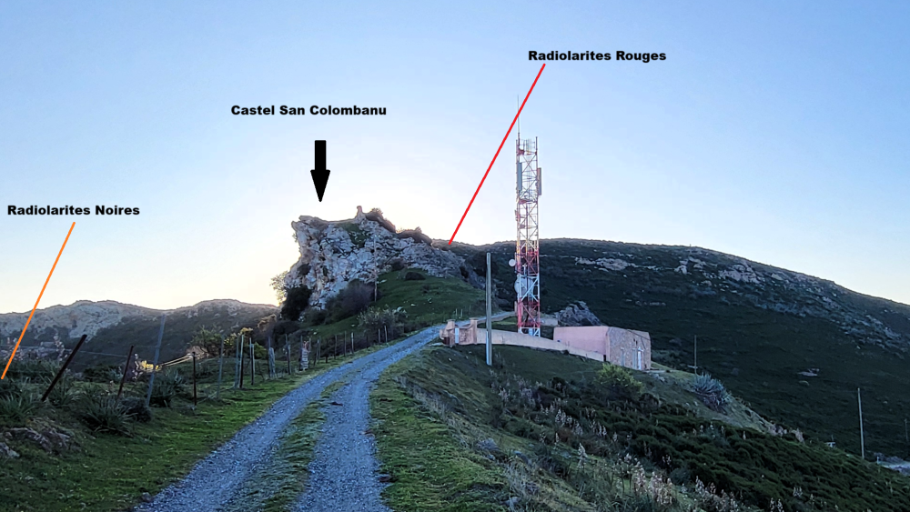 Radiolarites noires (3).png