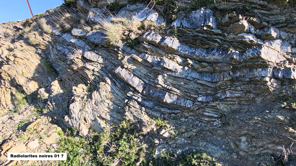 Radiolarites noires (4).png