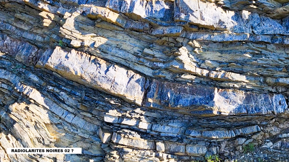Radiolarites noires (5).png