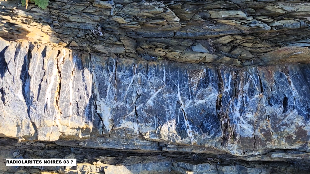 Radiolarites noires (6).png