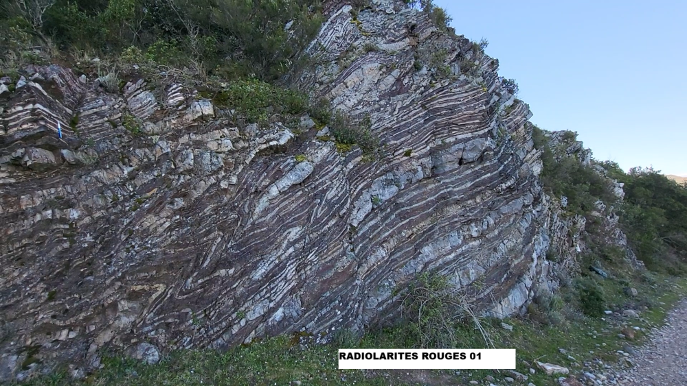 Radiolarites rouges (2).png