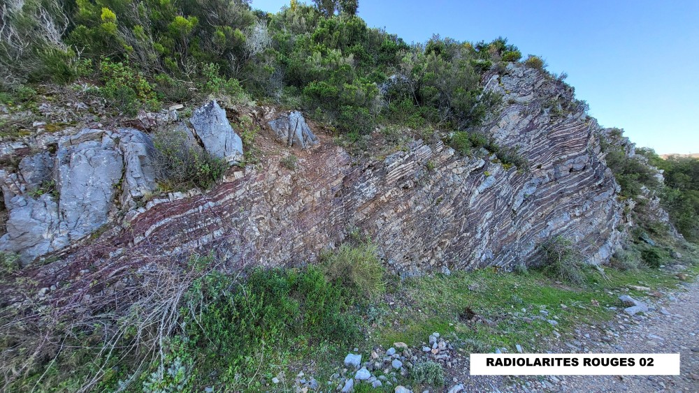 Radiolarites rouges (3).jpg