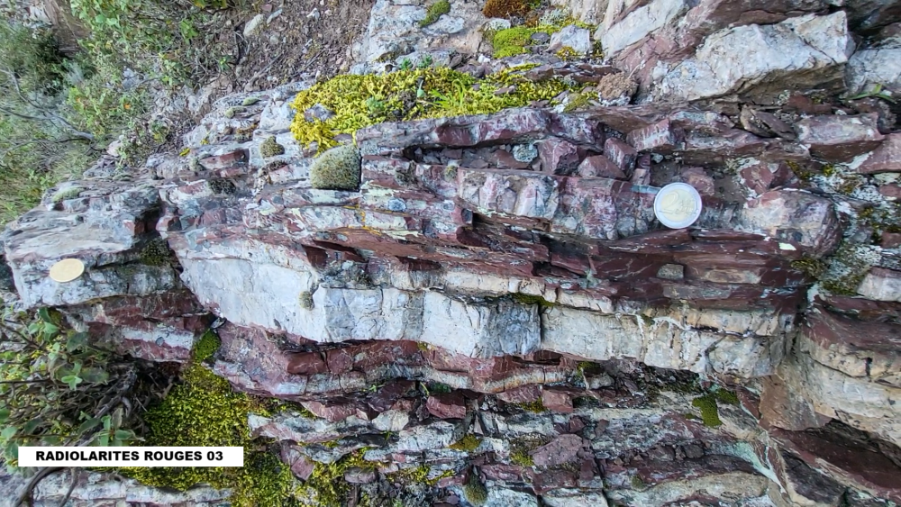 Radiolarites rouges (4).png