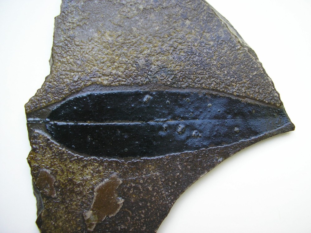 laurier mine Marie-Louise Haut-Rhin.JPG