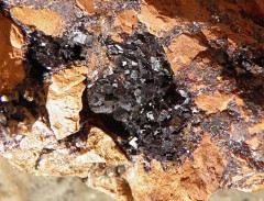 Antozonite
