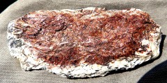 Astrophyllite / Aegirine
