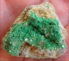 Métatorbernite